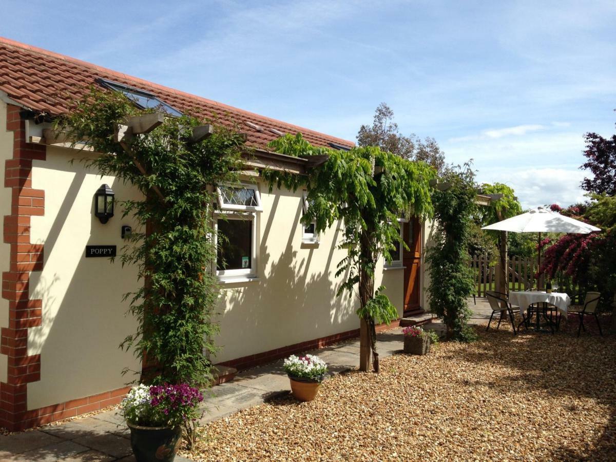 Ashford House B&B Wells Exterior foto